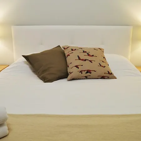 Precioso Apartamento En La Plaza Del Pilar 萨拉戈萨